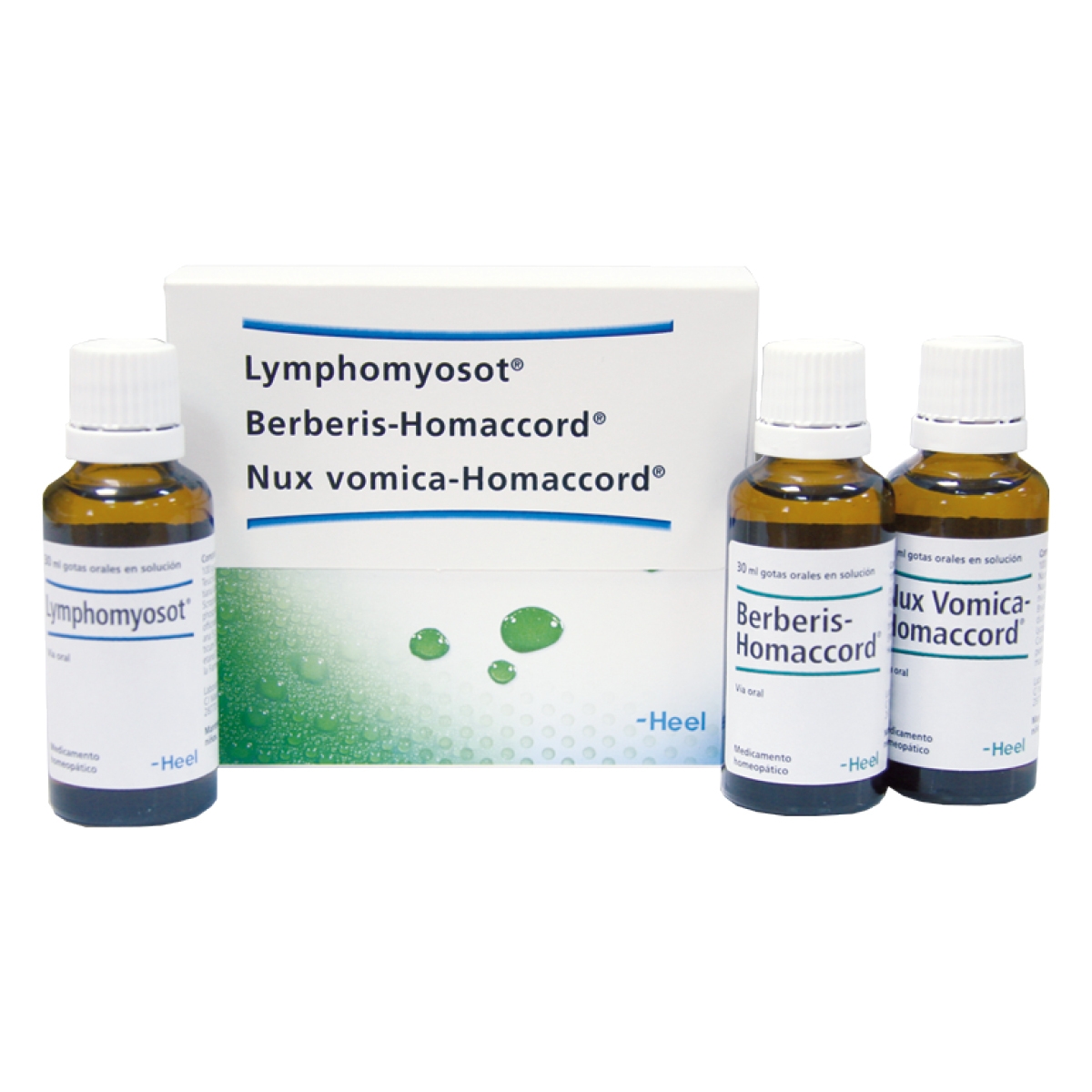 Terapia Lymphomiosot-Berberis-Nux vomica Gotas - Heel